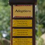 5. Drusillas - Sponsors Board